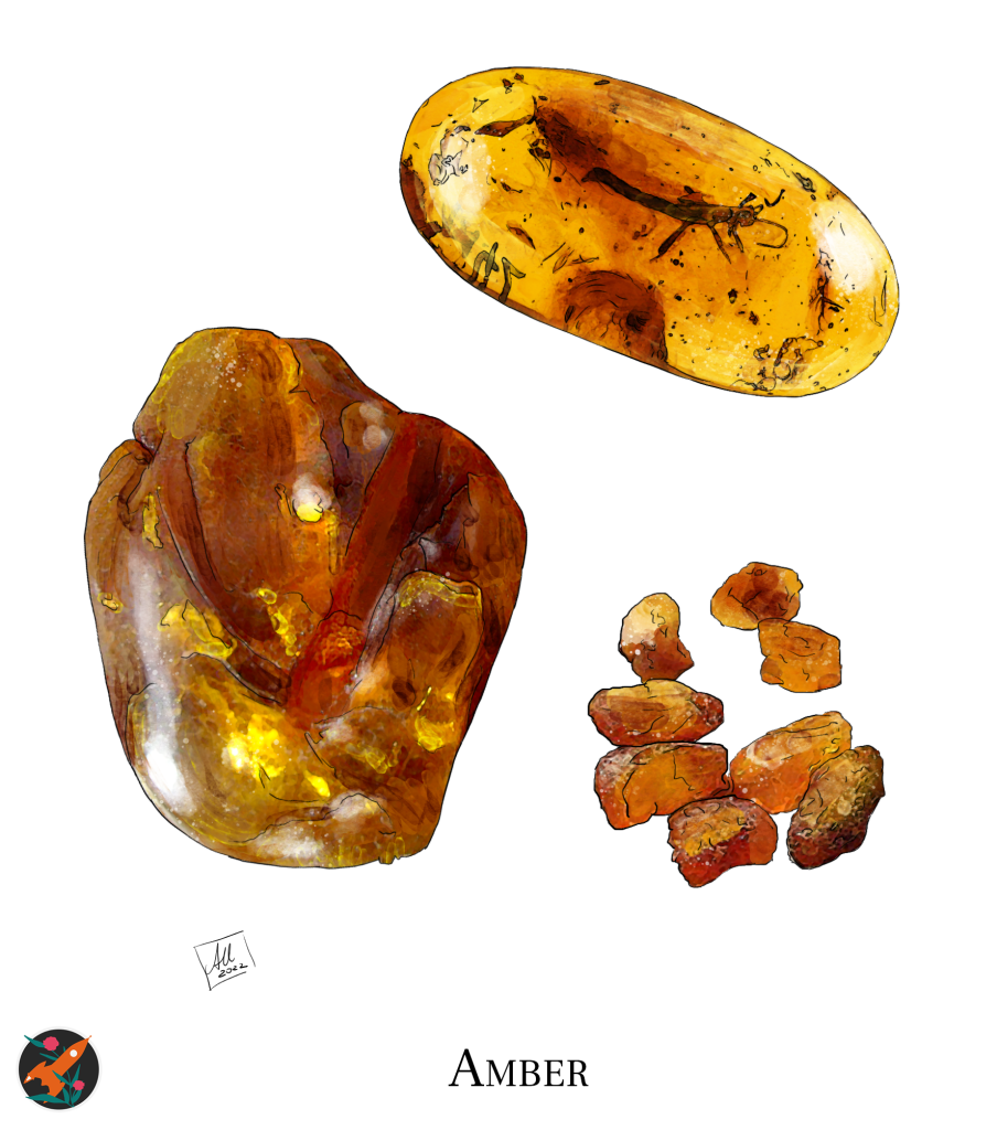 A full-color illustration of various types of amber