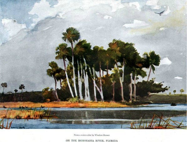 Homosassa Florida by Winslow Homer