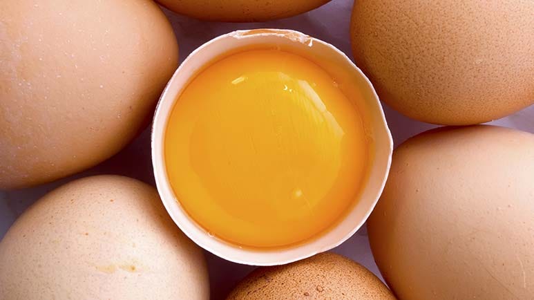 egg yolk benefits