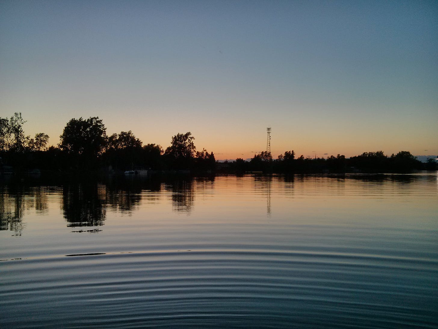 Water ripples out from the position of the camera lens on a lake at dusk, with trees and a cell tower in the distance.