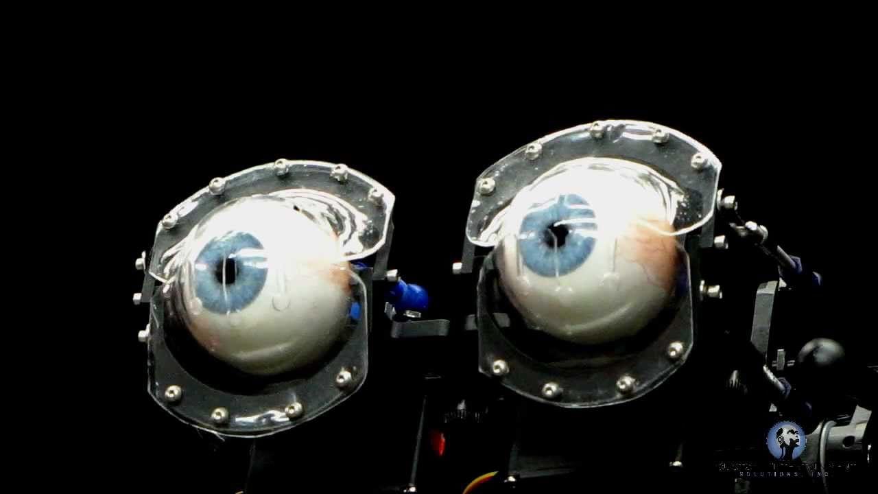 Automatic Eyelid Tracking Animatronic Robotic Eyes - YouTube
