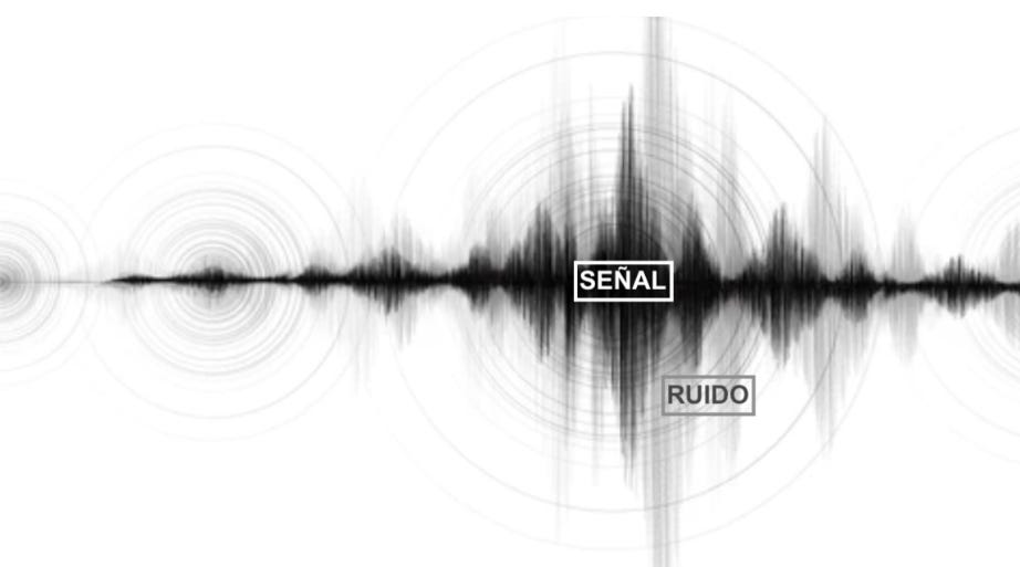 Oriol Roda - Señal y Ruido