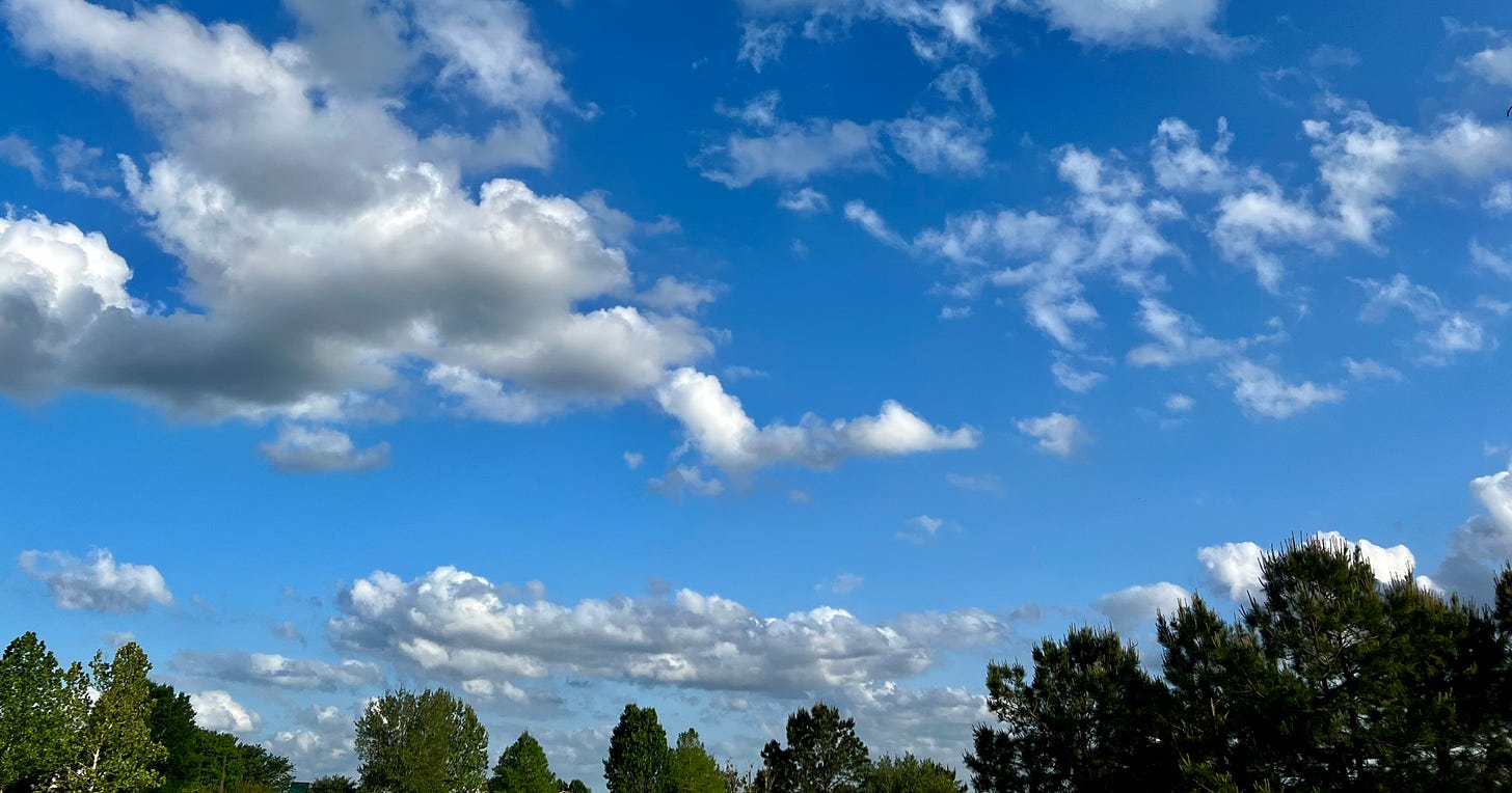 blue sky with white and gray fluffy clouds and tree tops at the bottom of the scene