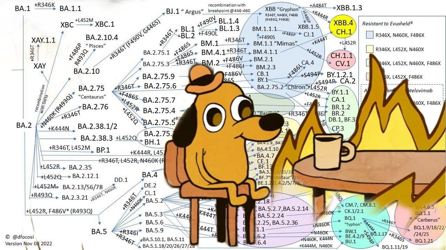 Meme: “This is fine dog” removed from his house, but remains at his table enjoying coffee. Flames surround the table. He is superimposed over an evolutionary flow chart starting with SARS-CoV-2 variant BA.2 before fracturing off in to an overwhelming number of branches, sub branches, and iterative branches demonstrating a complexity I don’t know how to convey in alt text. There are too many evolutionary branches.