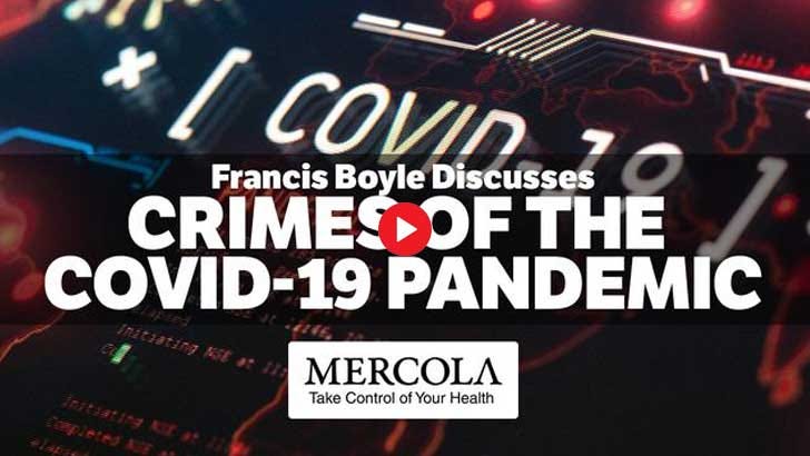 crimes of the covid-19 pandemic