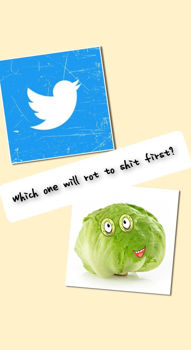 Twitter logo beside lettuce...