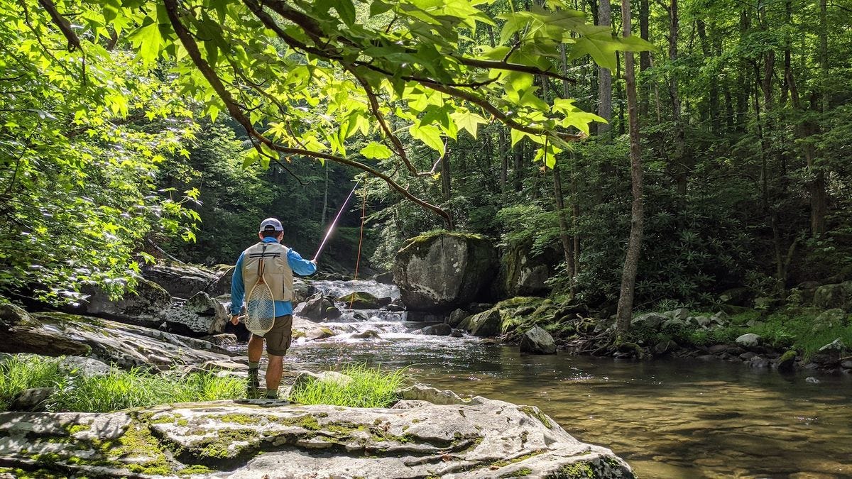 Discovering Peace on the River