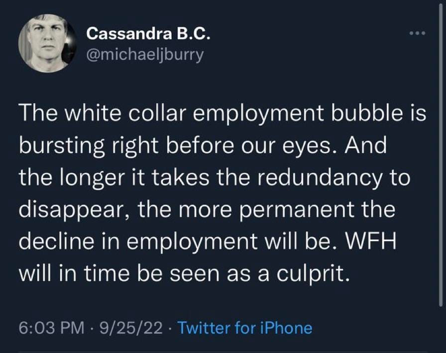 r/Burryology - White Collar Bubble