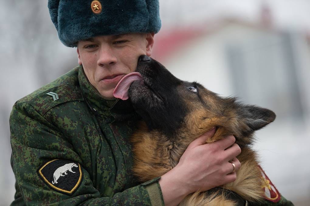 K9 units: police dogs of the world - Society &amp;amp; Culture - TASS