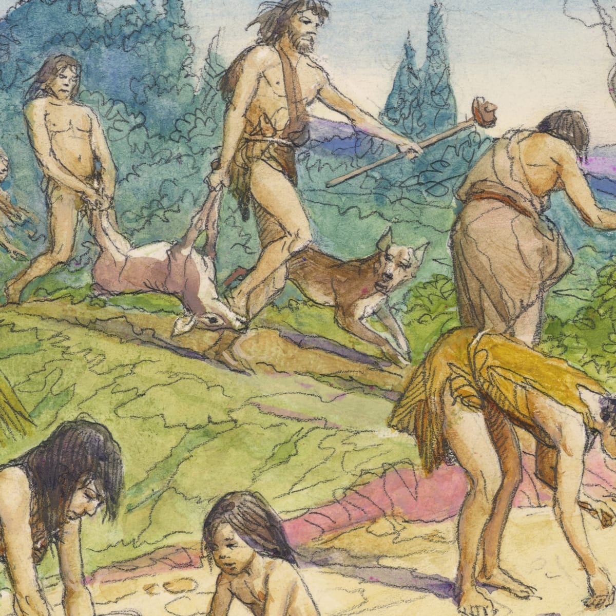 Hunter-Gatherers - HISTORY