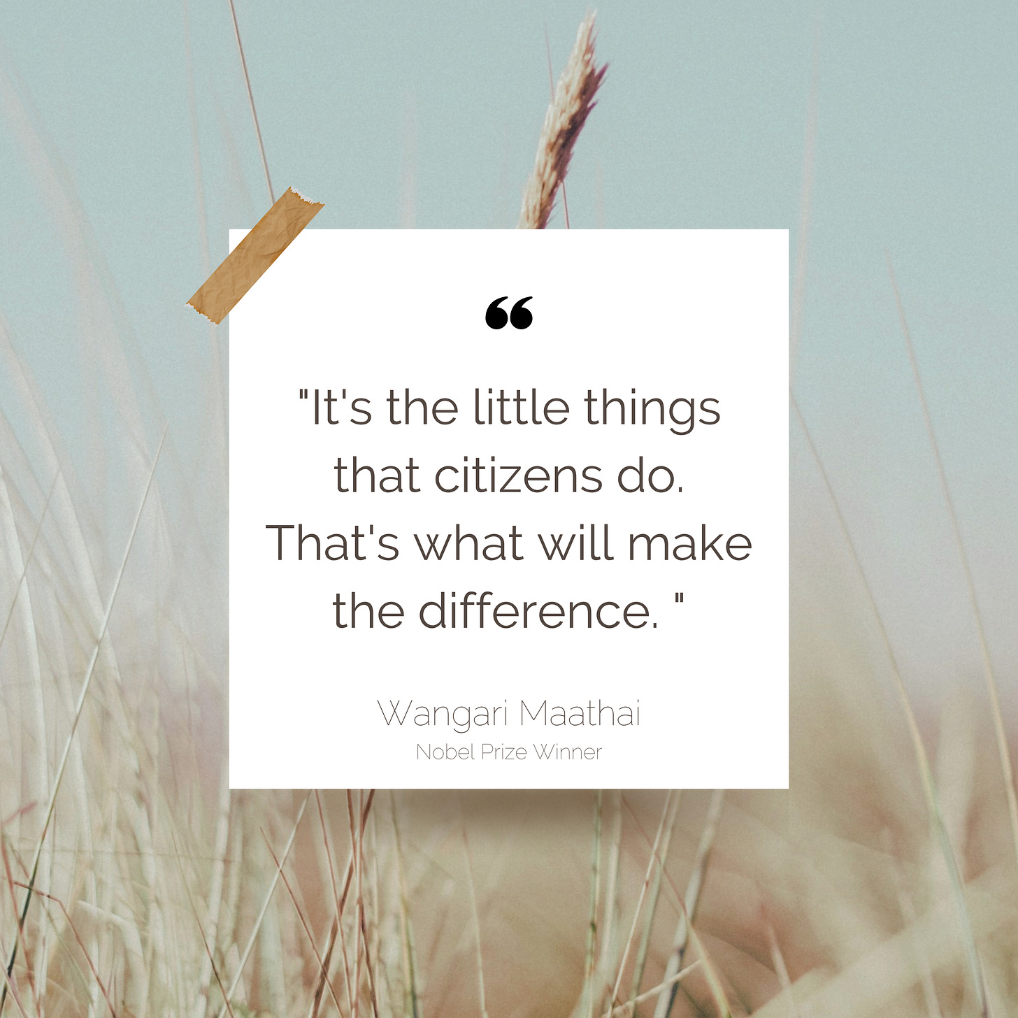 "It's the little things that citizens do. That's what will make the difference. My little thing is planting trees.” - Wangari Maathai