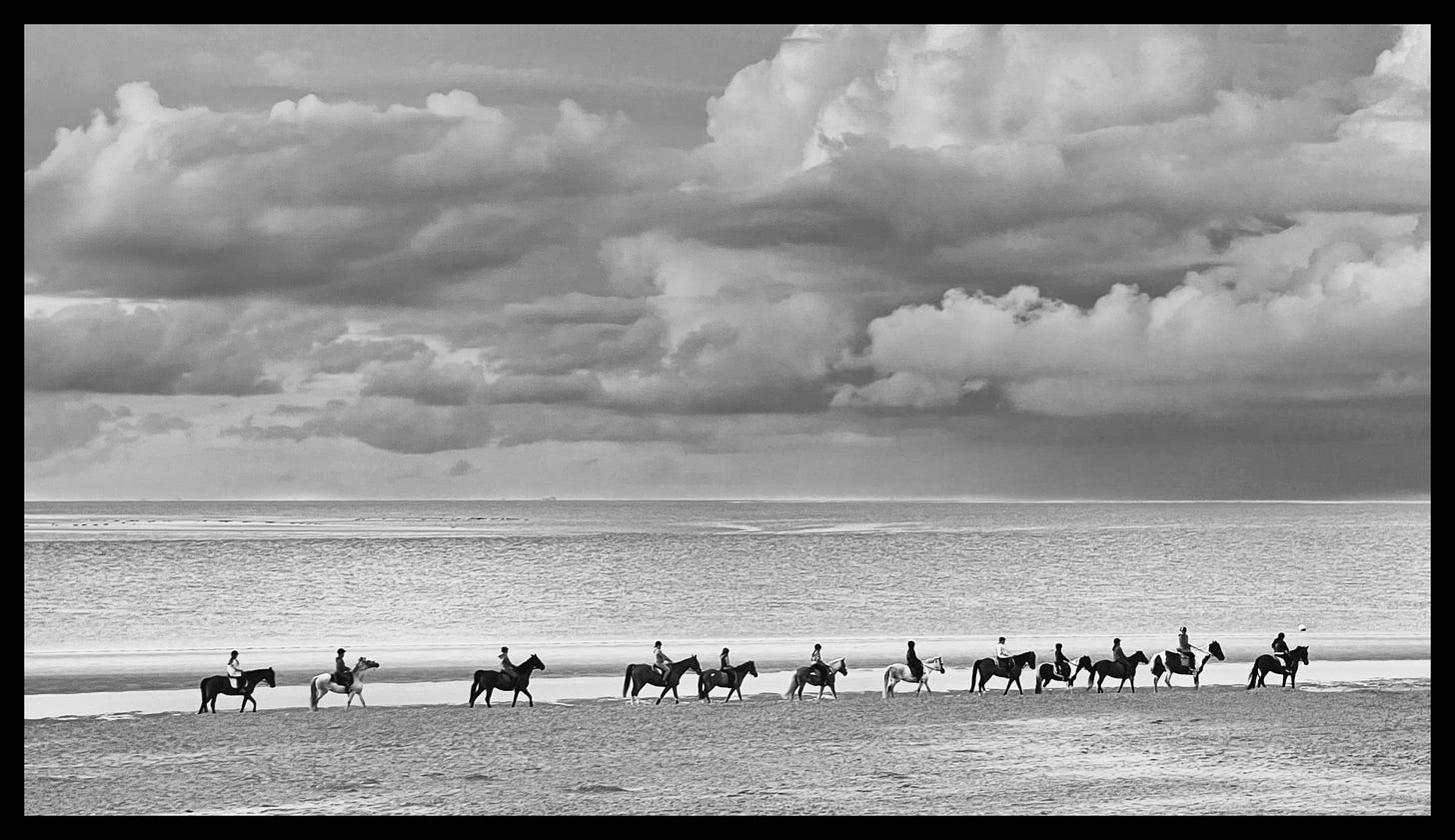 Horses on the beach on the west coast of Schouwen-Duiveland for #WorldPhotogrpahyDay by Alexander Verbeek