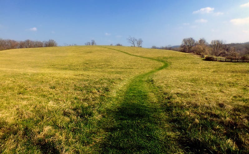 This is a picture of the Susquehanna Riverlands with blue skies, rounded green grass hills and mostly leafless trees in the distance, with a path through the grass leading away from the view. "Native Lands County Park (10)" by Nicholas_T is licensed with CC BY 2.0