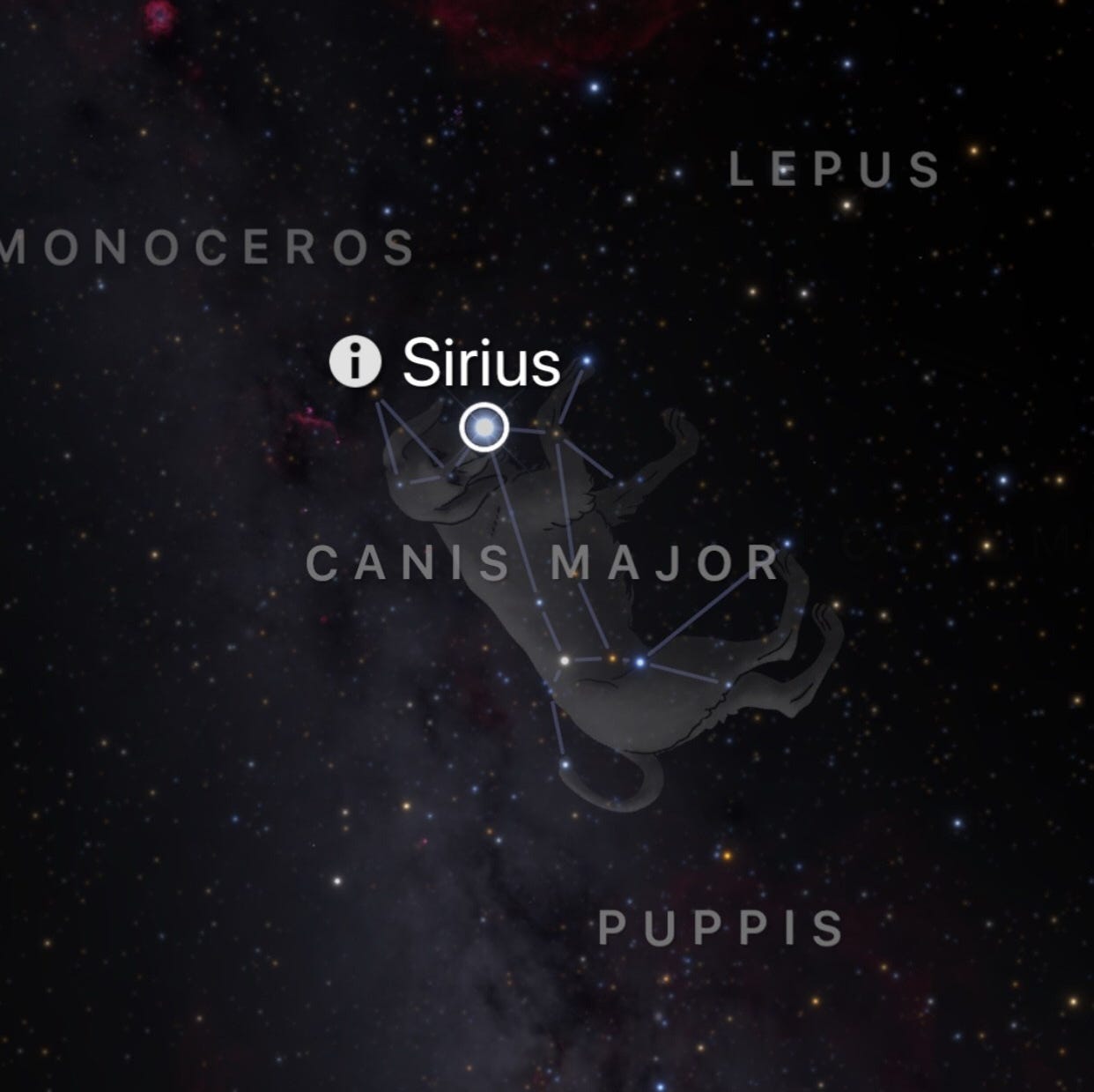 A map of the Sirius star in the Canis Major constellation