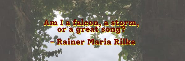 A translucent image of an archway covered in trees with an opening showing the sky. On top of it are the words: Am I a falcon, a storm or a great song? - Rainer Maria Rilke