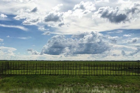 Big skies around Kompong Thom. Photo: Nicky Sullivan