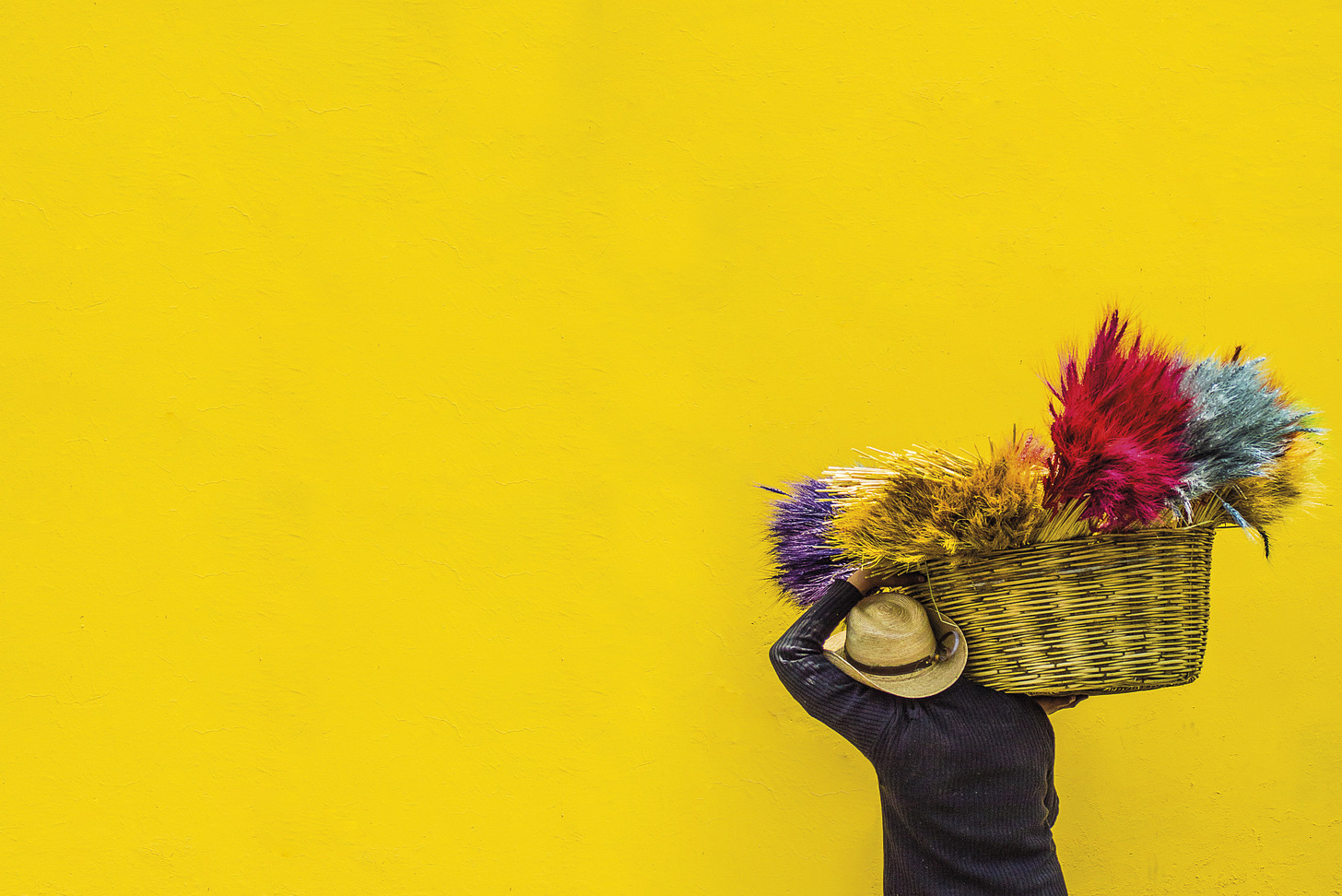 A Guatemalan man carries a basket of brightly colored plants. The color contrasts with the yellow wall in front of him.