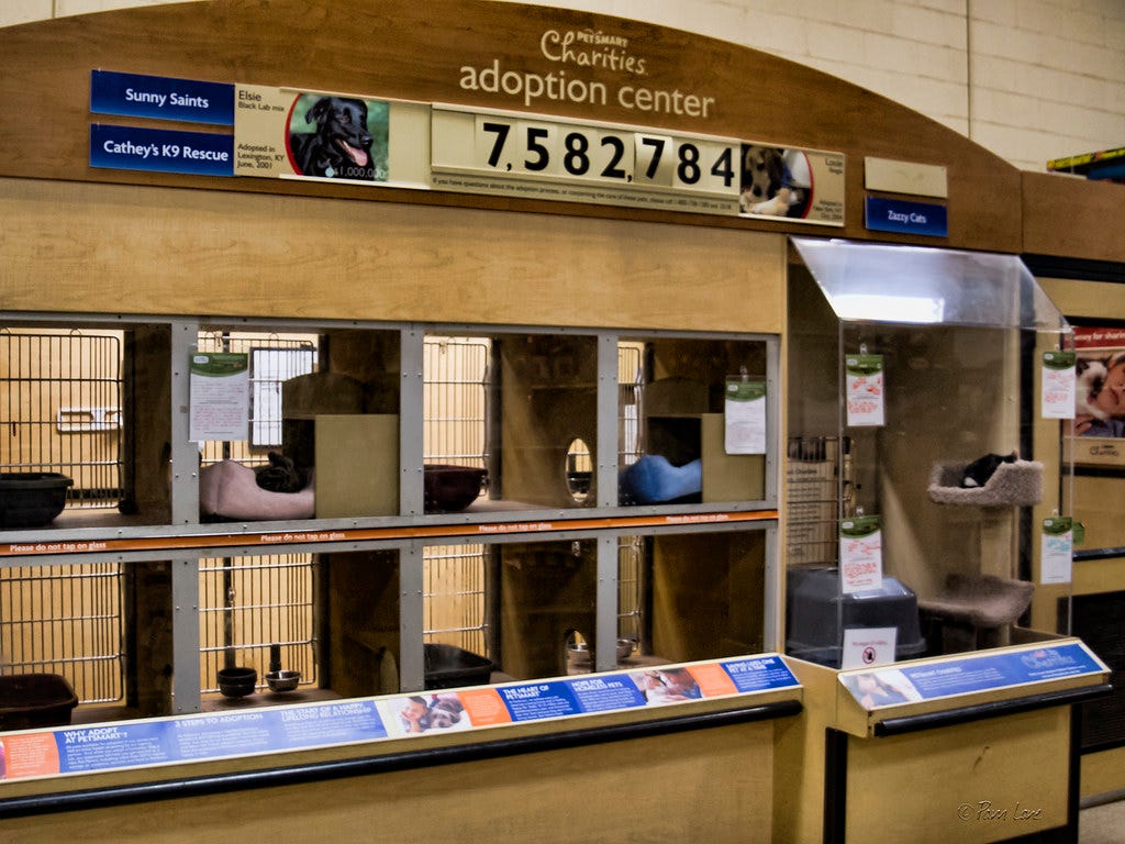 Petsmart Adoption Center | Pam Lane | Flickr