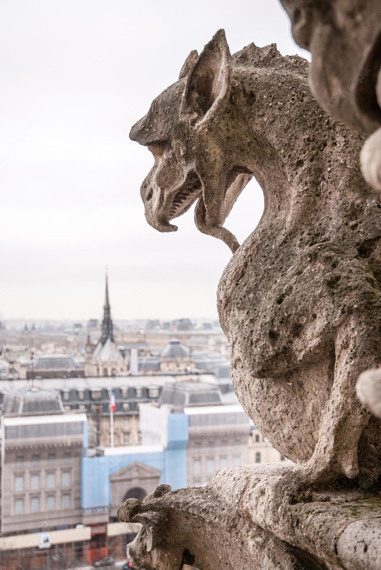 Premium Photo | Gargoyle at ledge wall in church not-re dame in paris