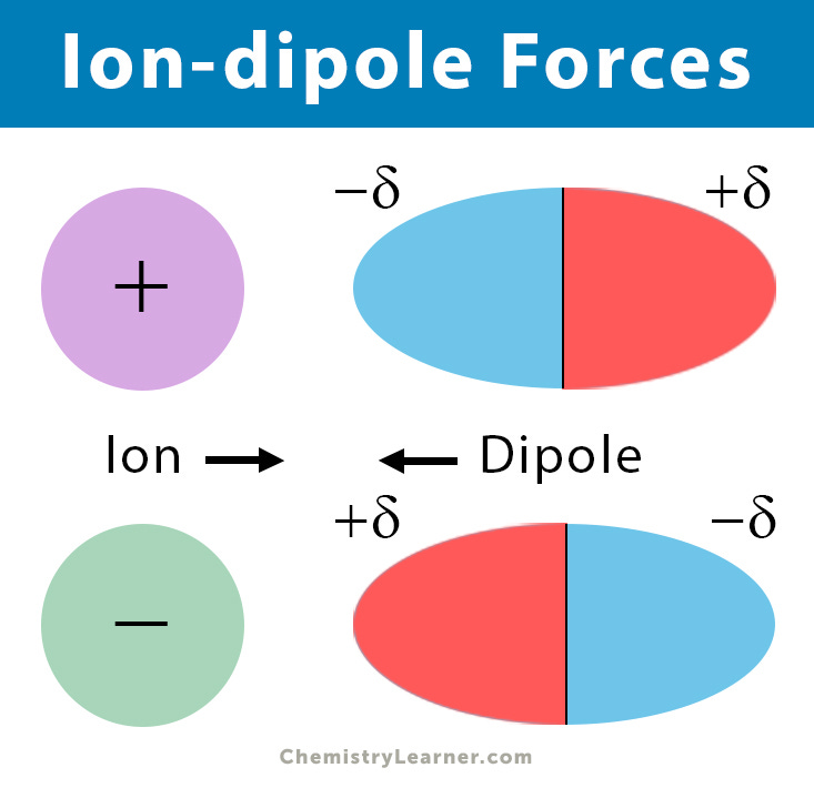 Ion-dipole Forces (Interaction): Definition and Examples