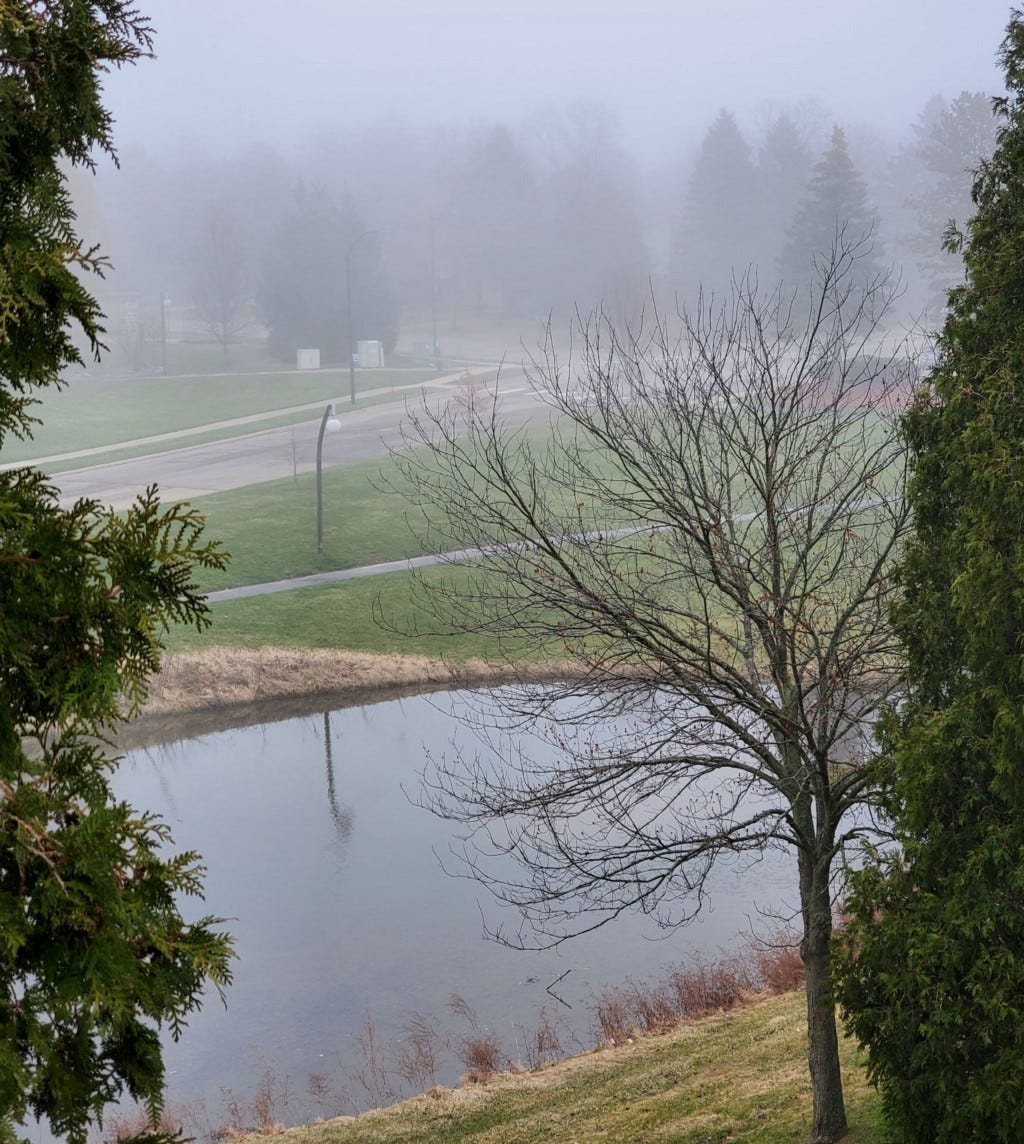Light morning mist over a pond, 42nd parallel north. April 6, 2022. Photo by author.