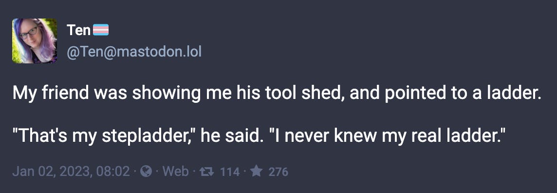 Toot by @ten@mastodon.lol:  “My friend was showing me his tool shed, and pointed to a ladder. ‘That's my stepladder,’ he said. ‘I never knew my real ladder.’”