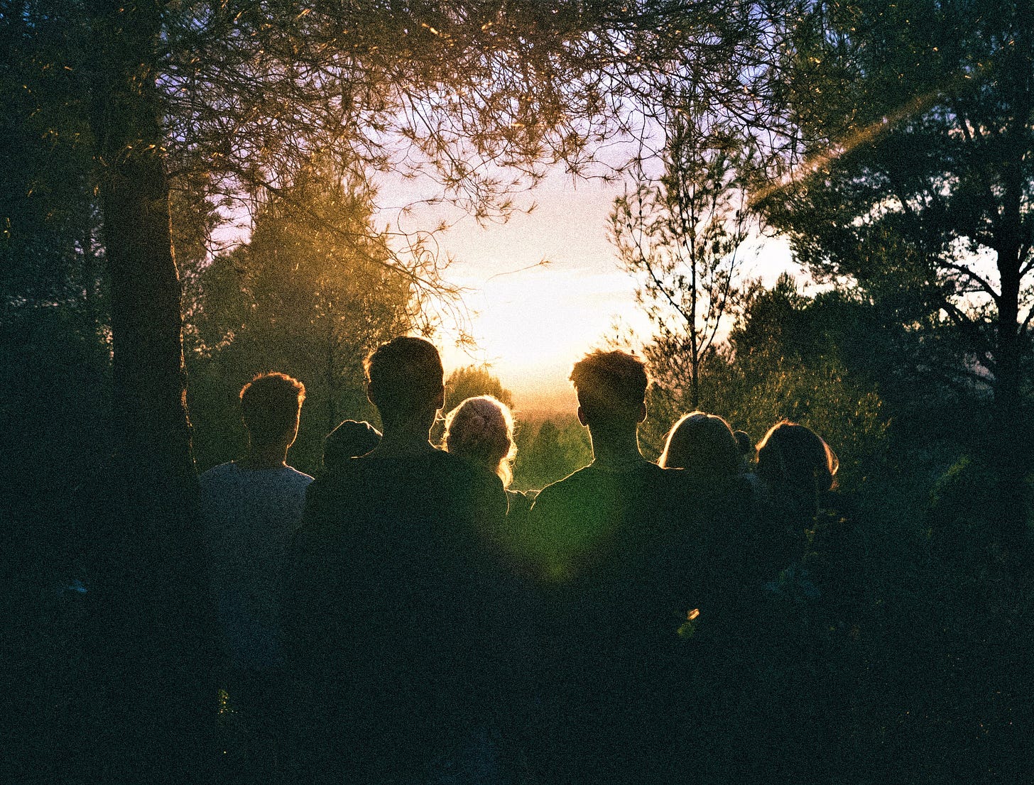 back view of gorup of people looking into the sunset through forest back view of gorup of people looking into the sunset through forest