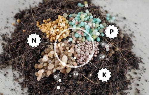 NPK Fertilizer Ratios Explained - Lacoste Garden Centre webshop | Winnipeg