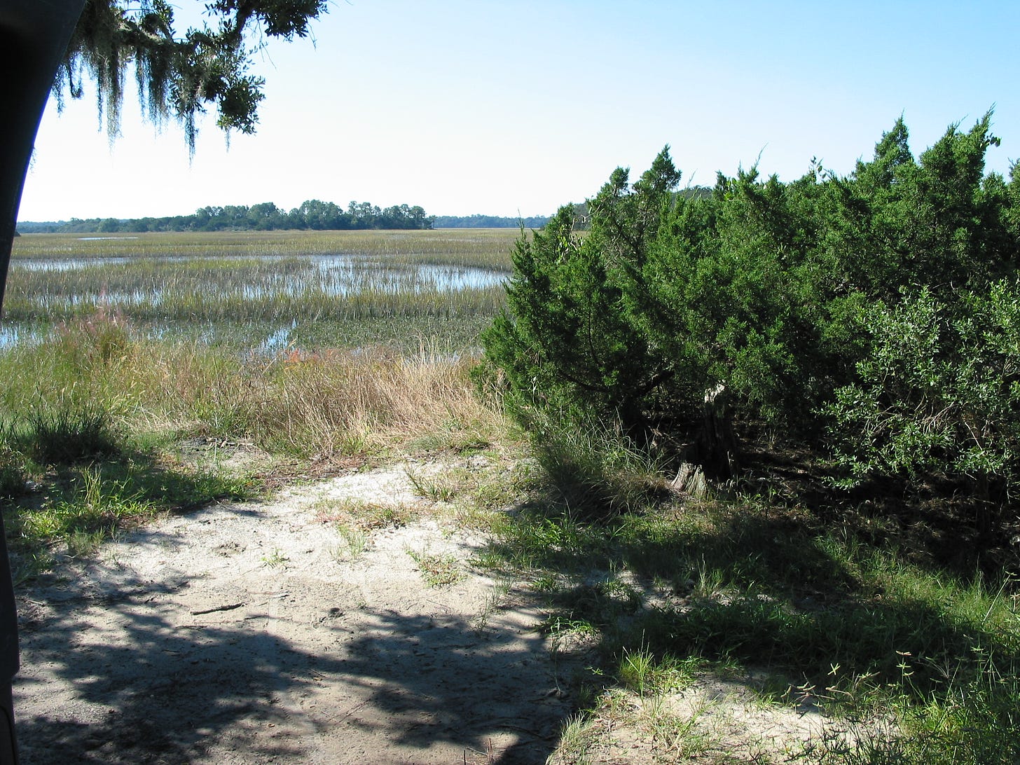 A photograph looking out over a salt marsh. 