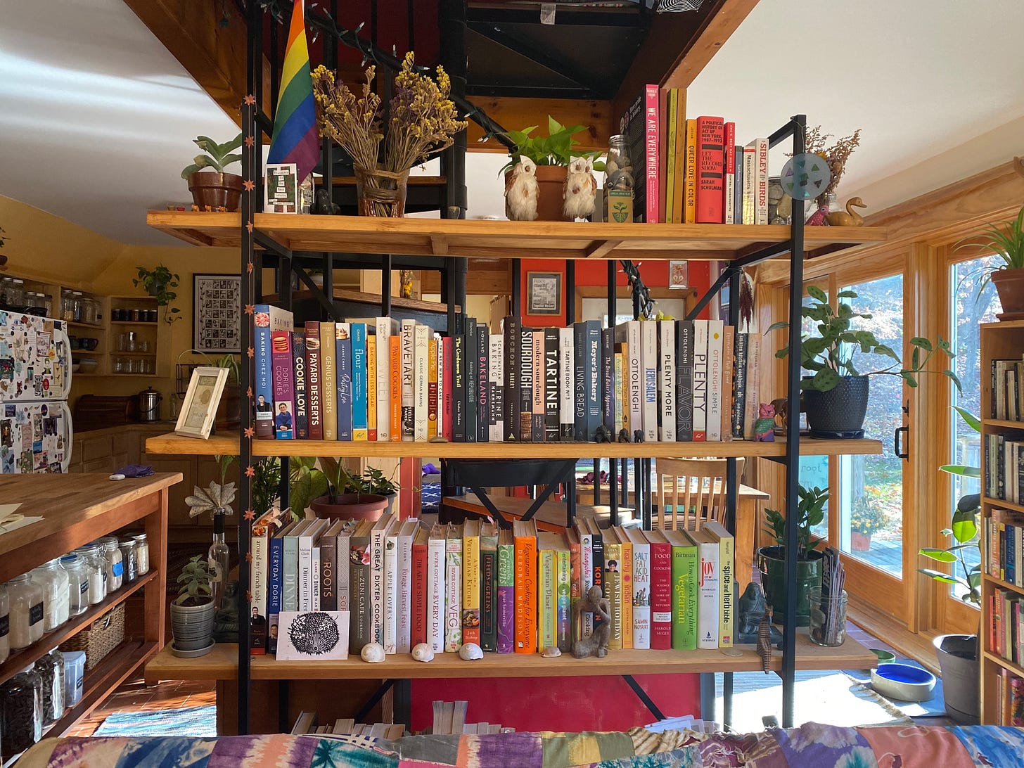 An open wooden bookshelf full of colorful cookbooks and knickknacks—plants, a rainbow flag, two owl figurines, a van of dried flours, shells, and cards. The shelf is in the middle of an open room, with a view into the kitchen on one side and out the sliding glass doors on the other.