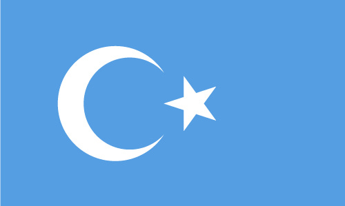 East Turkestan Outdoor Quality Flag | MrFlag