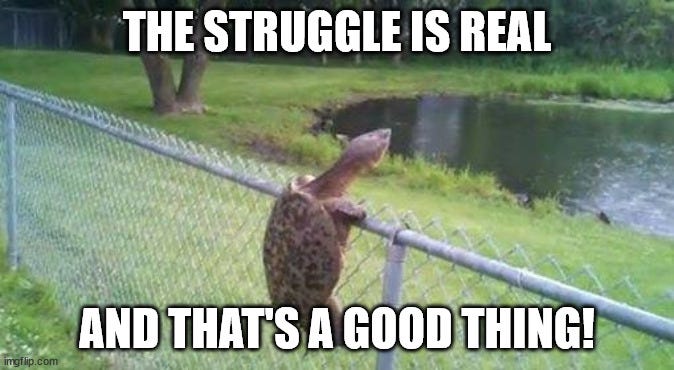 Image of a turtle attempting to climb a fence to a body of water. With the text "The struggle is real and that's a good thing!"