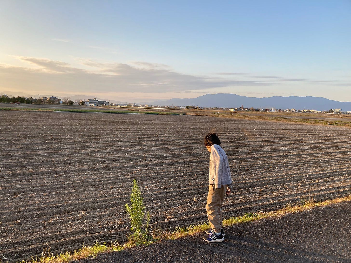 佐賀平野。作物の刈り取りが終わり、だだっ広い畑が広がっている。夕暮れ時で東の空が赤くなっている。畑を見下ろす六歳児。