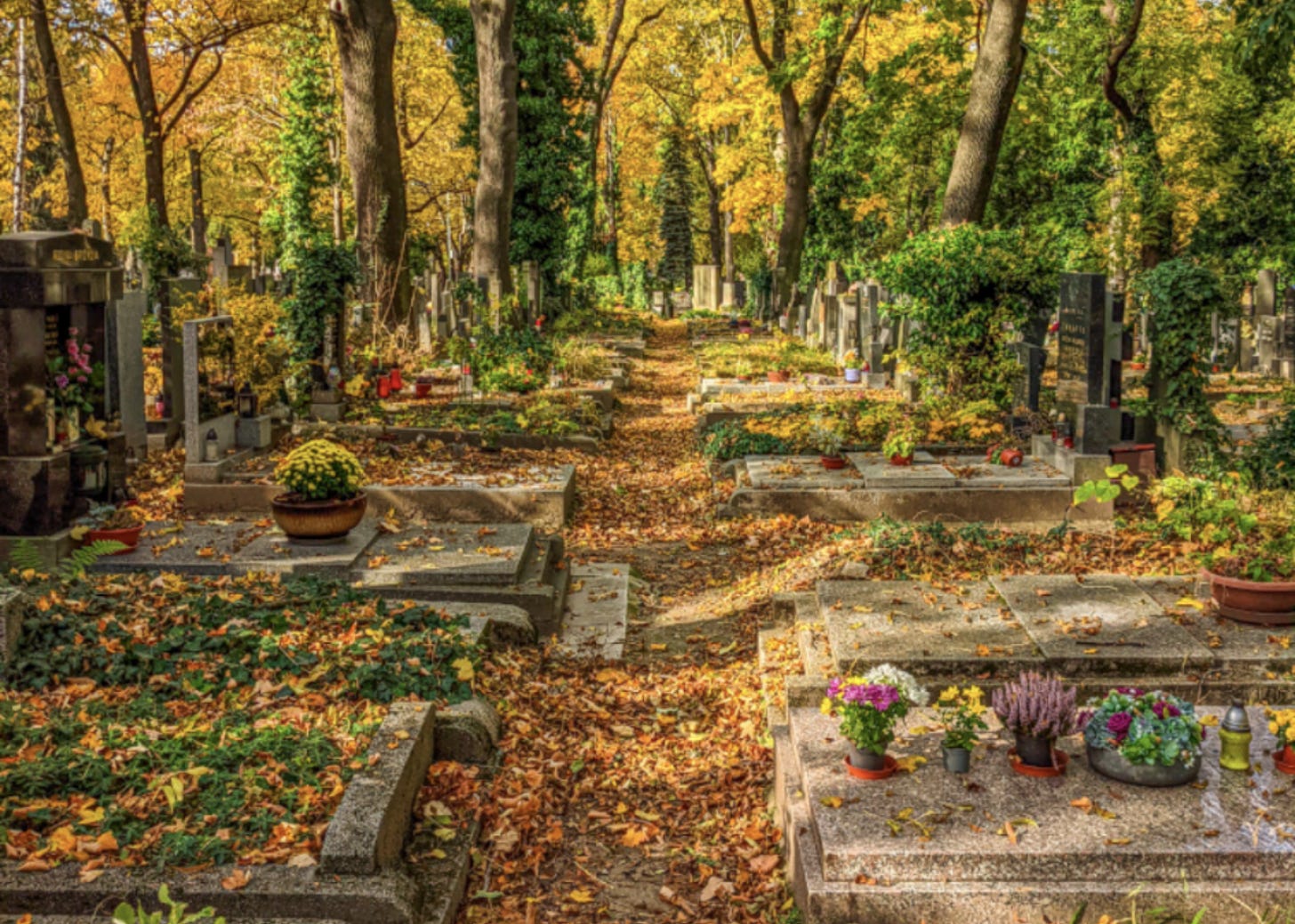Two rows of graves face each other under a canopy of trees in Prague's Olsany Cemetery