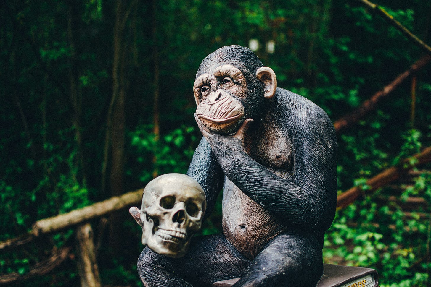 Titelfoto. Eine lebensecht wirkende Schimpansenfigur aus Stein o. ä. sitzt grübelnd auf einem Bücherstapel in der Natur. Im Hintergrund ist ein grüner Wald und eine schräg einen Hang hinauf führende Treppe mit Holzgeländer zu sehen. Der Schimpanse hält in der einen Hand einen menschlichen Schädel, mit der anderen Hand kratzt er sich am Kinn. Er schaut versonnen nach links.