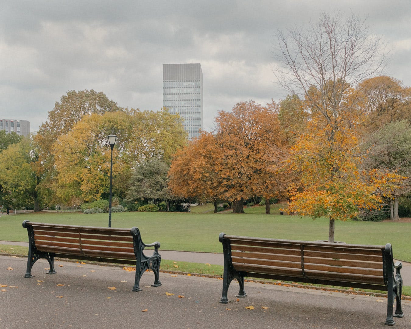 Two benches in Weston Park with the Arts Tower in the background