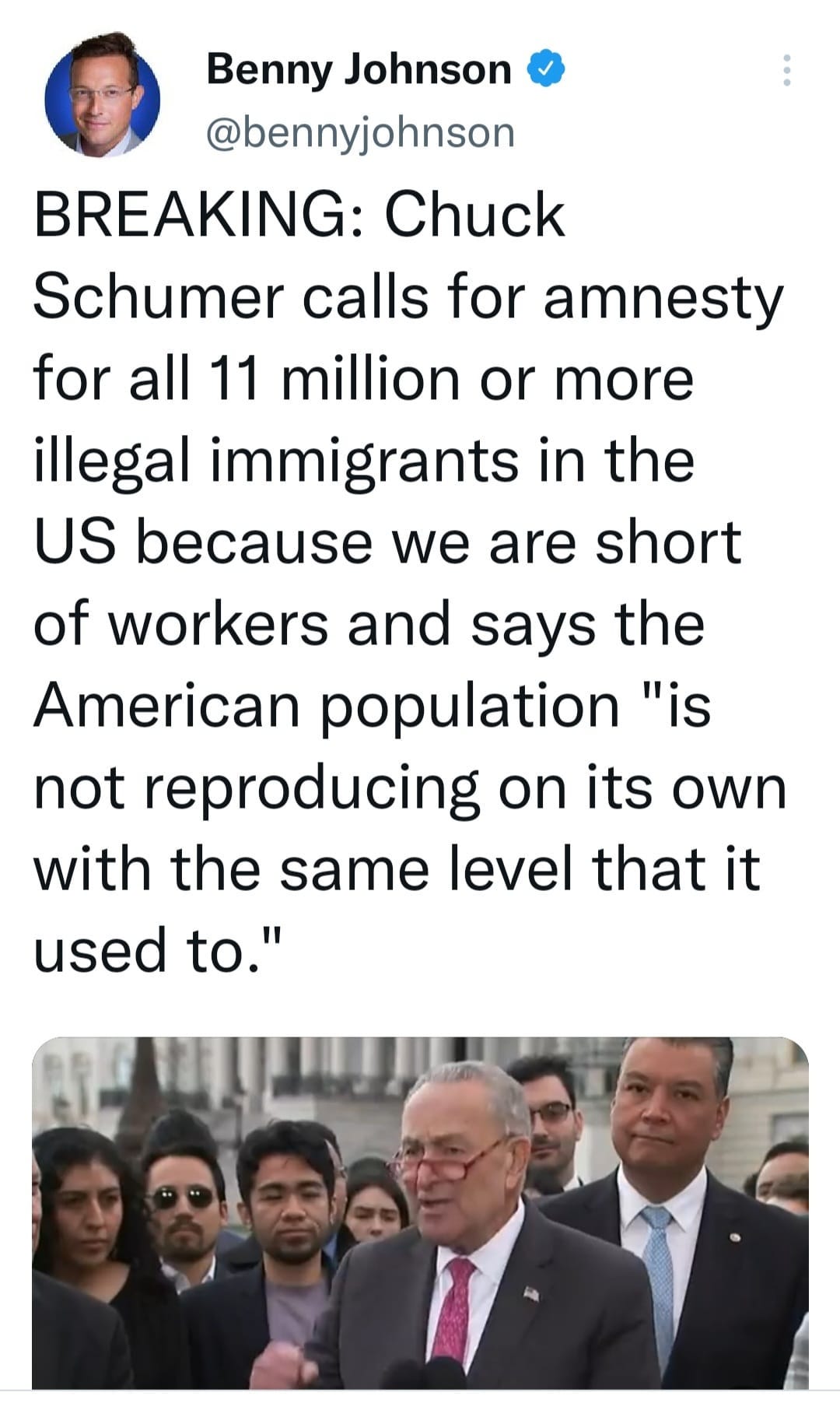 May be an image of 5 people and text that says 'Benny Johnsor @bennyjohnson BREAKING: Chuck Schumer calls for amnesty for all 11 million or more illegal immigrants in the US because we are short of workers and says the American population "is not reproducing on its own with the same level that it used to."'