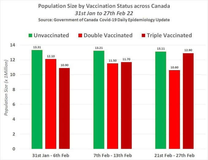 Population size by vaccination