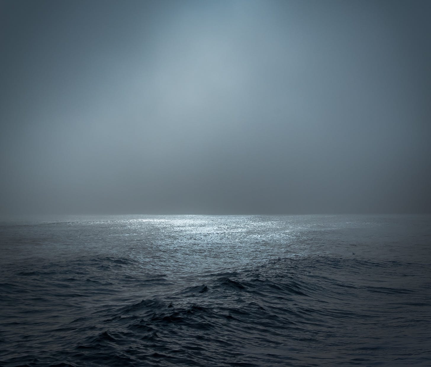dark surface of water in a sea with light