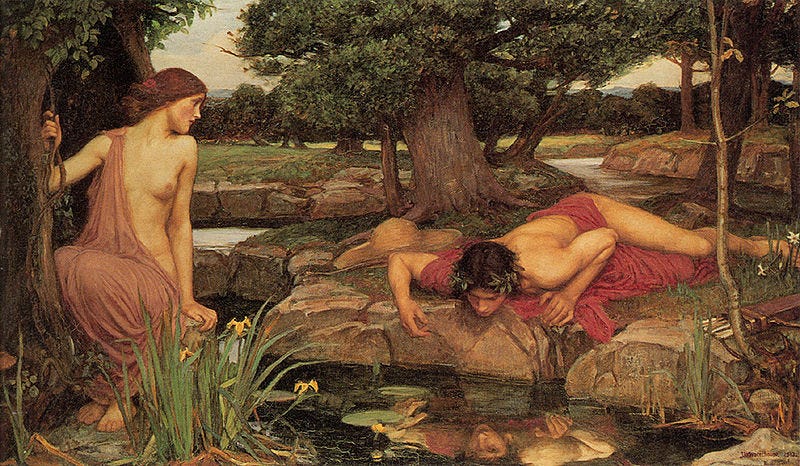 Narcissus stares into his reflection while Echo watches helplessly.