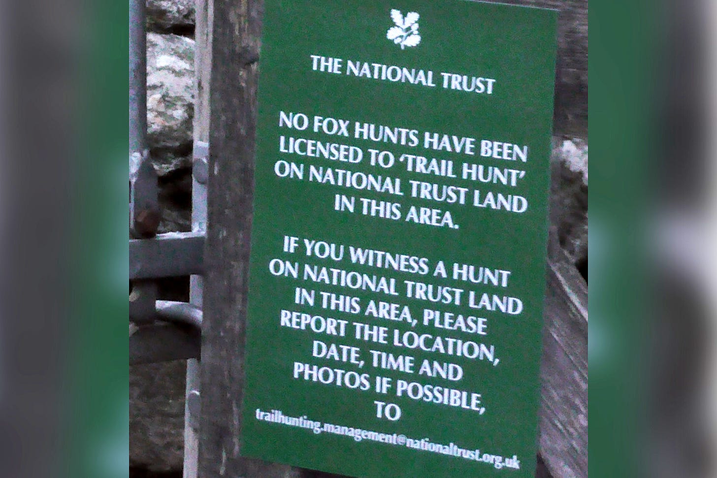 Imitation National trust sign saying "No fox hunts have been licensed to 'trail hunt' on National Trust Land in this area".