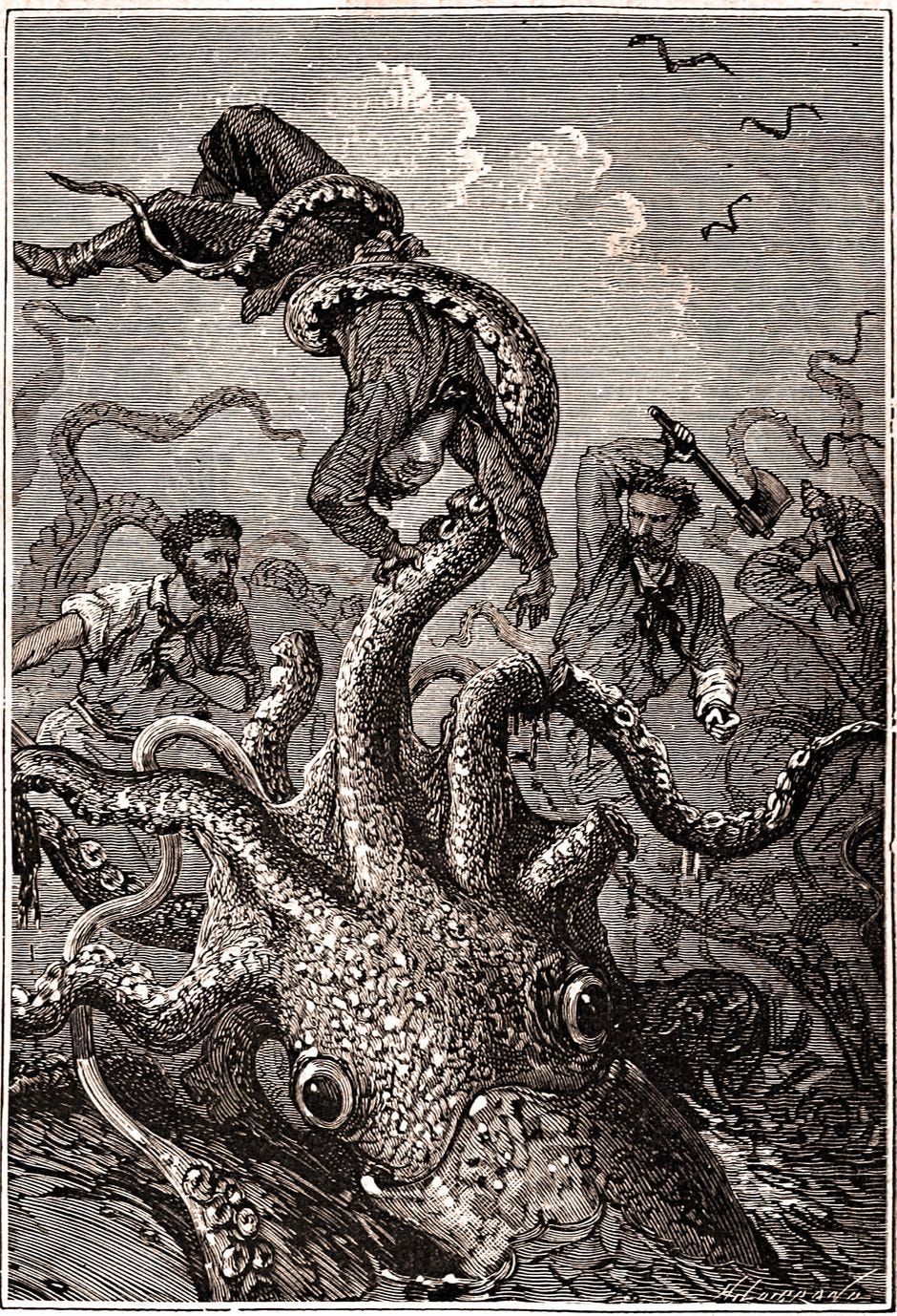 Legendary giant squid&#39;s genome revealed - CNET