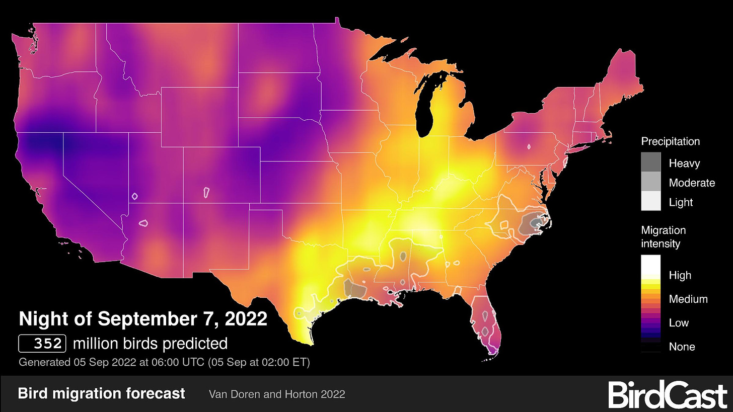 A map of the united states colored on a scale from purple to red to orange to yellow to white, denoting the intensity of bird migration. this specific map is for the night of september 7, 2022, with 352 million birds predicted.