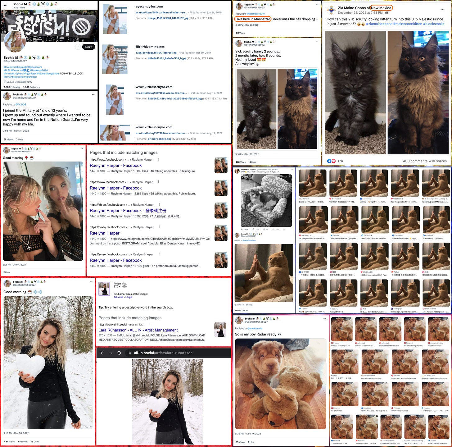 collage of stolen photos of people and pets tweeted by @SophiaM98566027, and reverse image searches showing that the photos are stolen