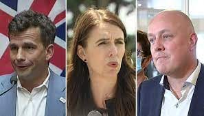 COVID-19: Christopher Luxon, David Seymour grill Jacinda Ardern for doing  'nothing to prepare for Omicron' | Newshub