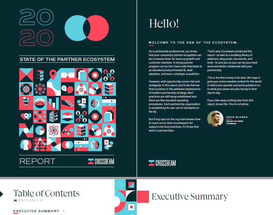 Screenshot of Crossbeam's State of the Partner Ecosystem document.
