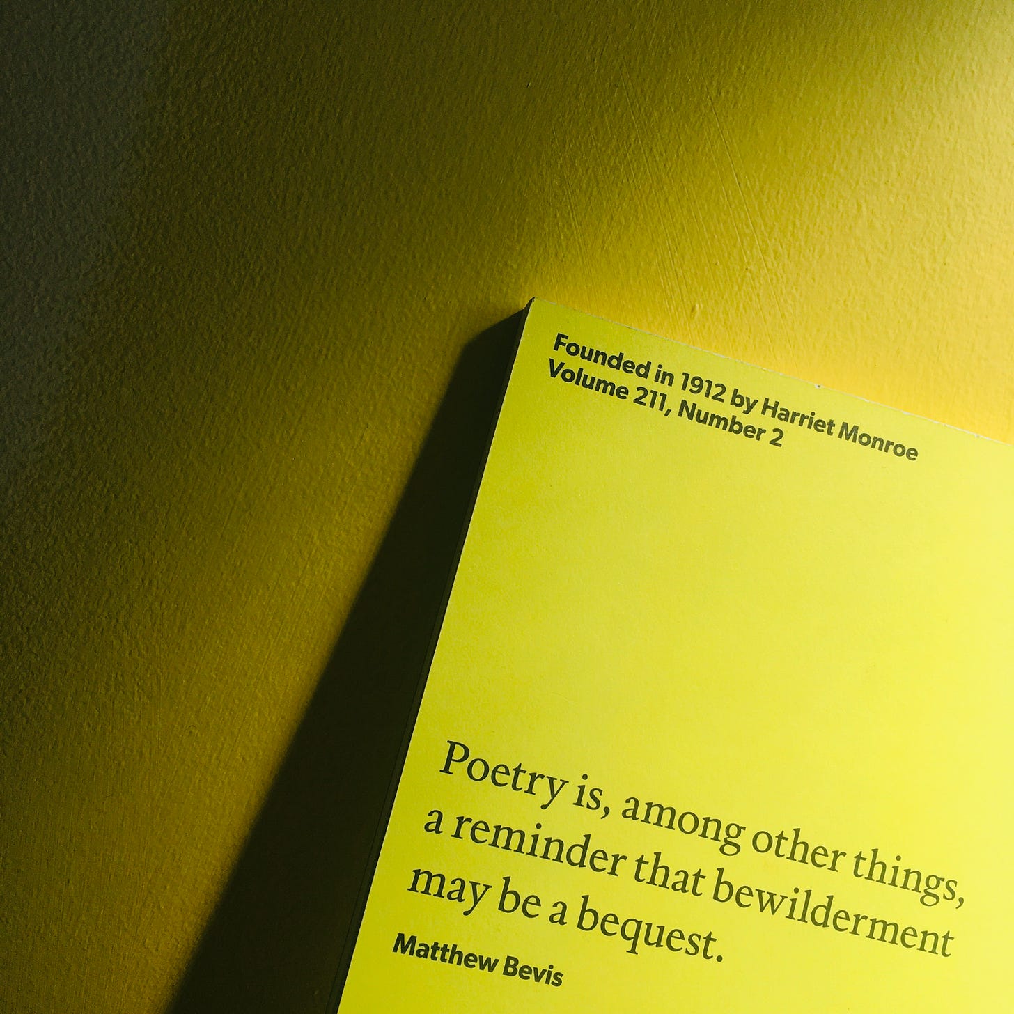 'Poetry is, among other things, a reminder that bewilderment may be a bequest' (Matthew Bevis)