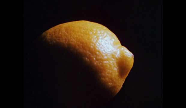 Hollis Frampton Lemon Analysis and Review | Experimental Film