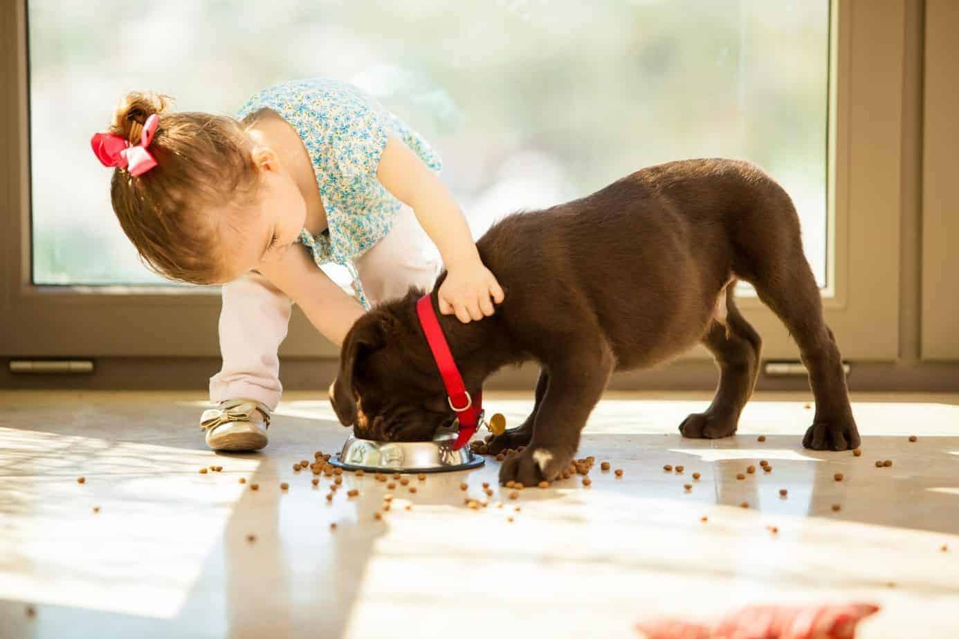 Dogs teach kids responsibility, socialization, love, and friendship