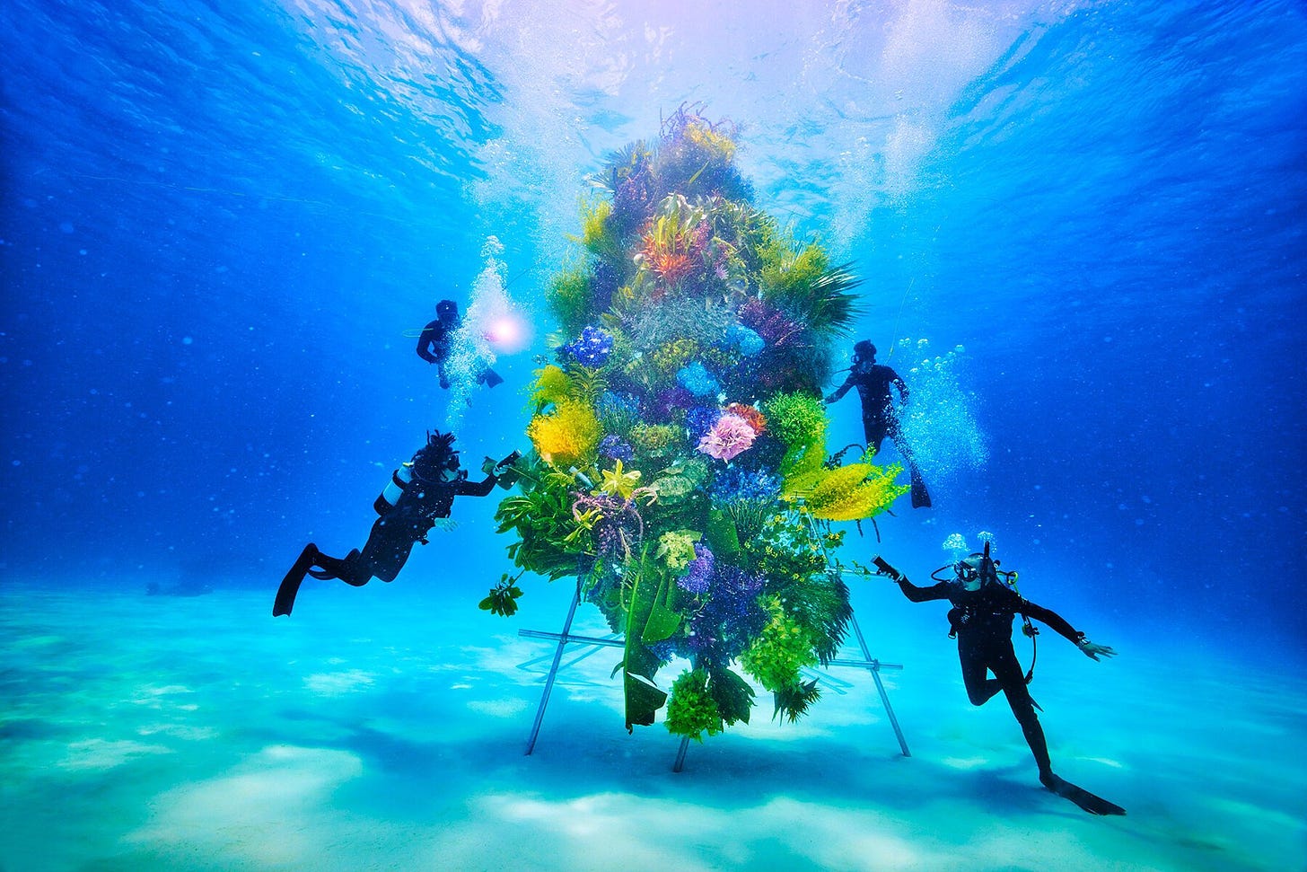 Una scultura floreale posta sott'acqua, con dei sub che le fluttuano intorno.